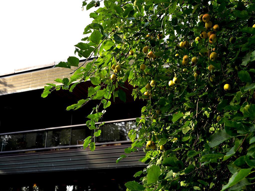 Hotel Fjalar Salo  Exterior foto